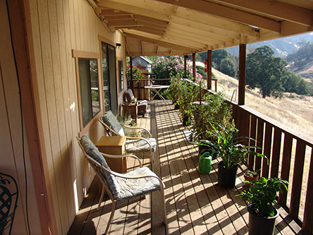 Lookiing up Back Porch Morning