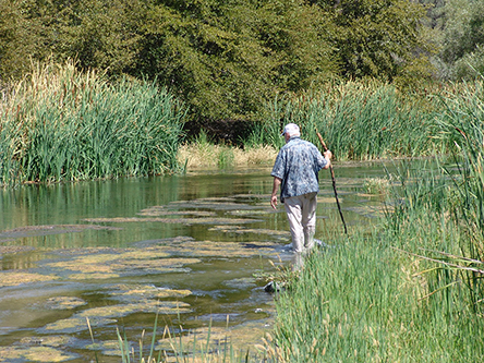 Harry walking upstream