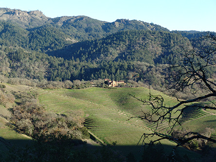 Lake County Wine Estate picture