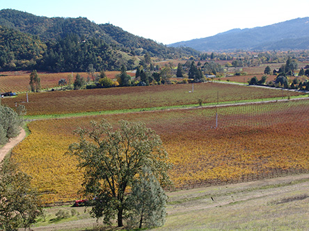 Looking down at Napa Valley