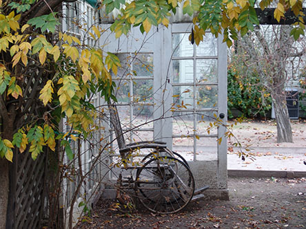 Preston winery old wheel chair