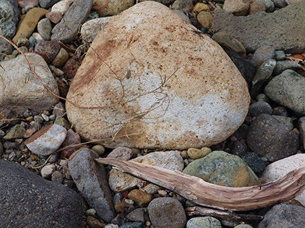 Rock in stream