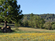 1-3-2014 Home Page