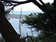 St. Helena Creek