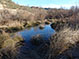 Cleland Lake pond