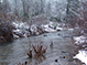 "A Prepper's Dream (Always Be a Sap for You)"